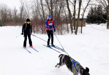 skijoring